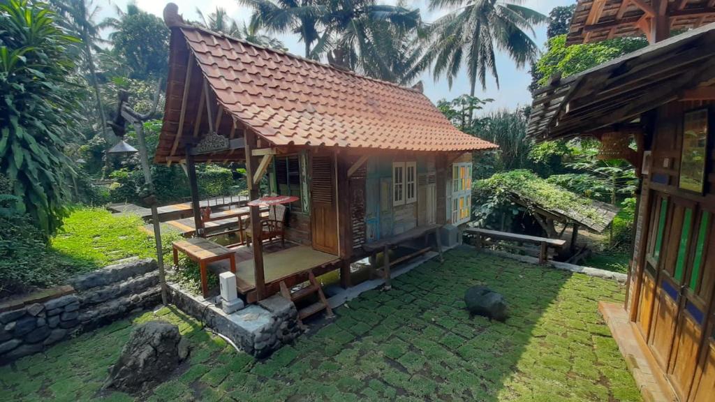 Zahrada ubytování Omah Kepel Yogyakarta