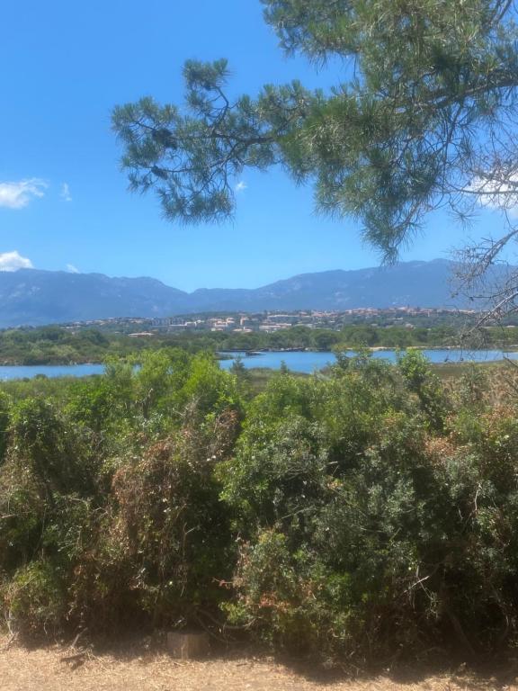 - une vue sur un lac depuis un arbre dans l'établissement Casa Missia, à Porto-Vecchio