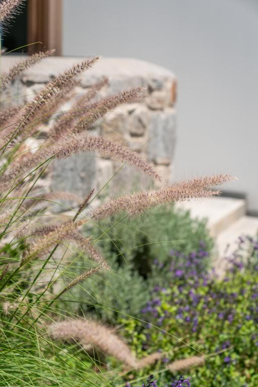 Vonkajšia záhrada v ubytovaní Galazio Suites, Serifos