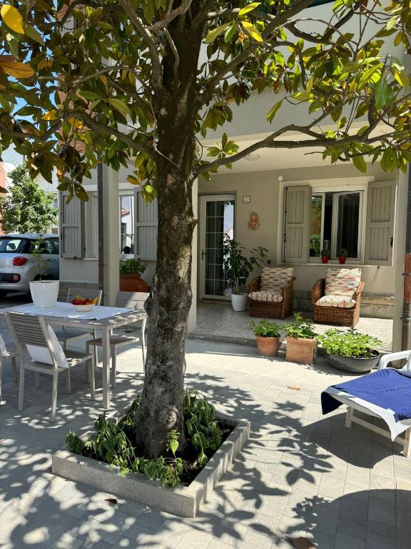 a tree in a courtyard with a table and chairs at Pesciolino Rosso in Cesenatico