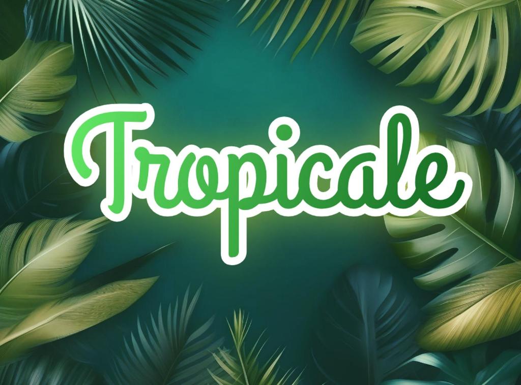 Le Château des Lumières de la Baie de Somme Chambre D'hôtes de Charme - Doppelzimmer