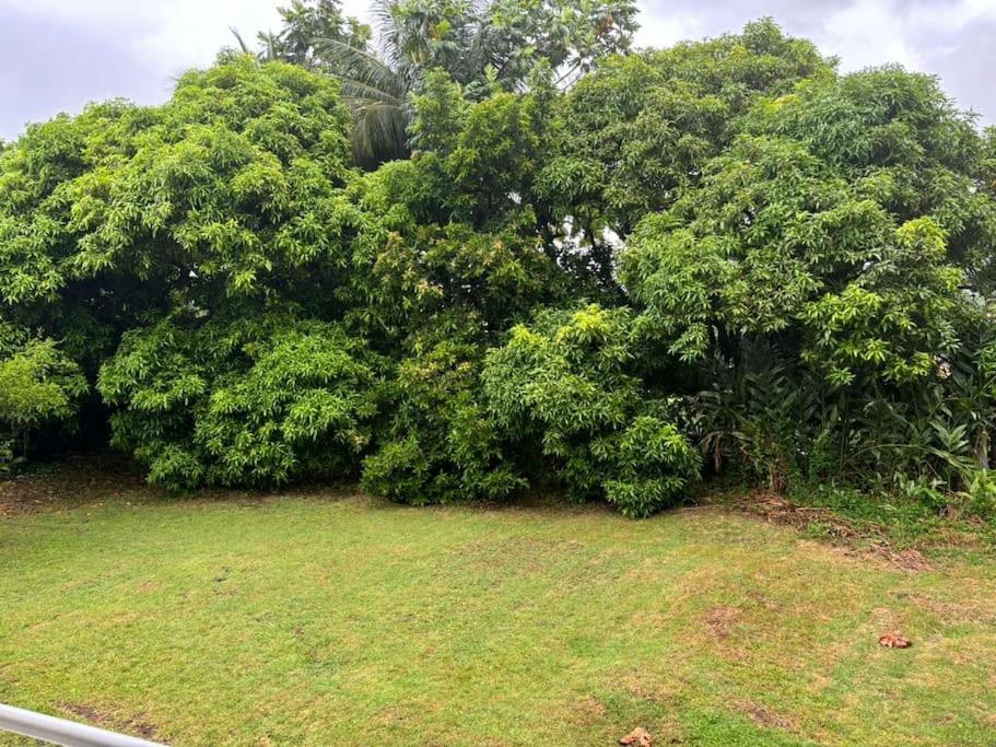 Jardí fora de maison Eloma
