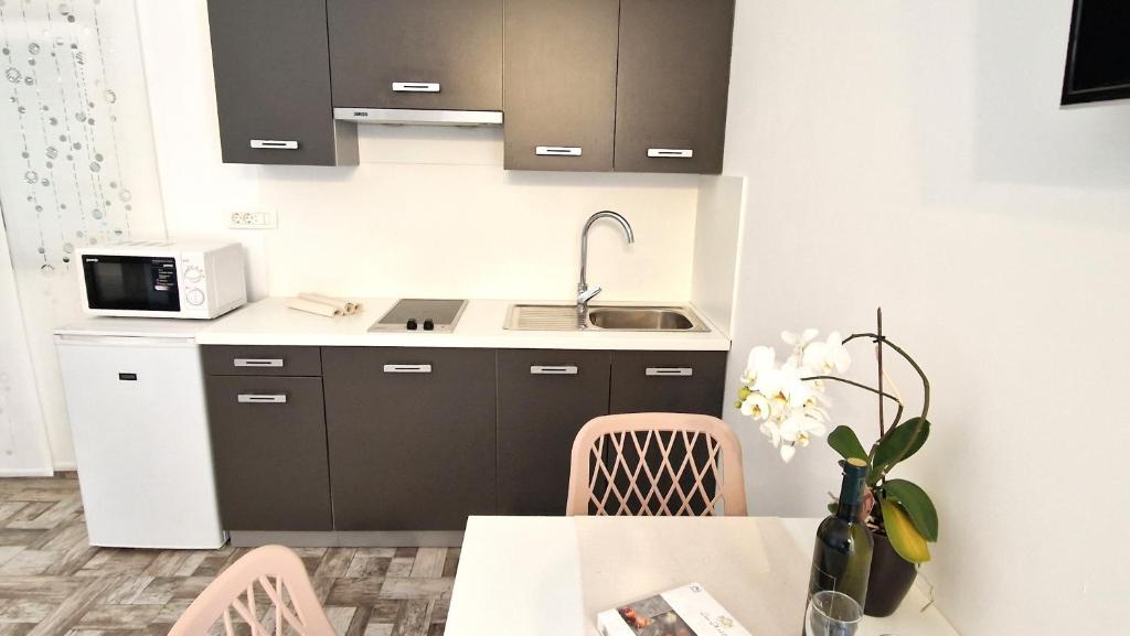 Kuchyňa alebo kuchynka v ubytovaní Apartments Brajde