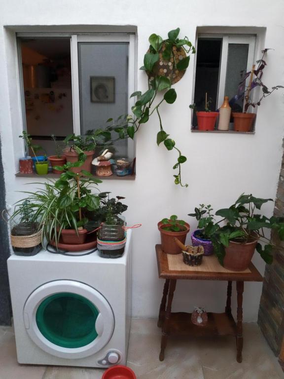 Fotografie z fotogalerie ubytování Habitación en apto compartido para una persona v destinaci Montevideo