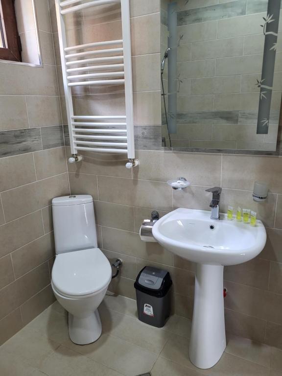 Koupelna v ubytování Villa Megobrebi