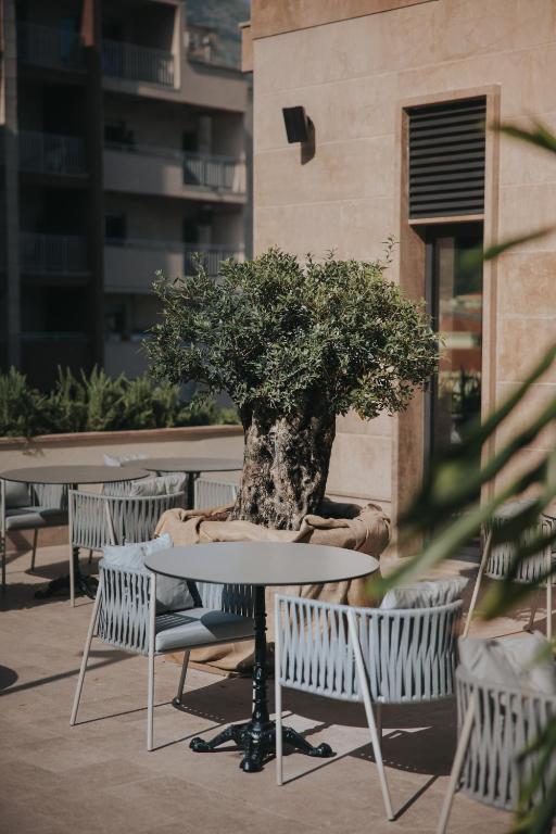 a table and chairs with a bonsai tree on it at Infinity Hotel & More in Budva