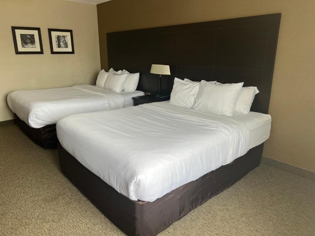 Postel nebo postele na pokoji v ubytování Comfort Inn