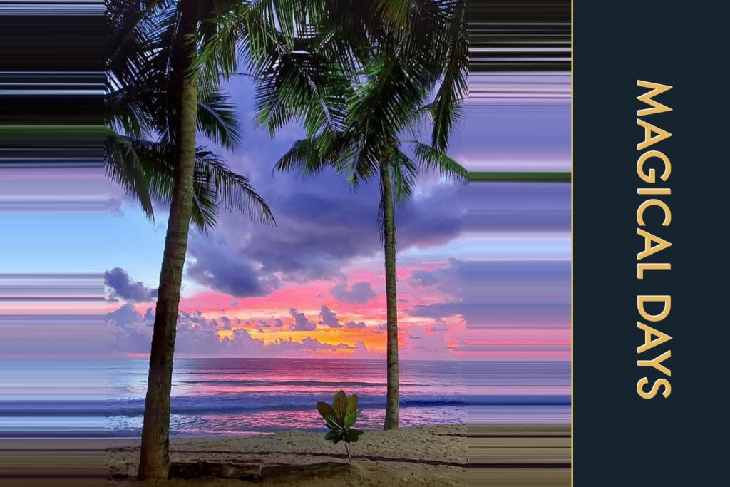 two palm trees on a beach with a sunset at Luxury Apartment at a Bargain in Kamala Beach
