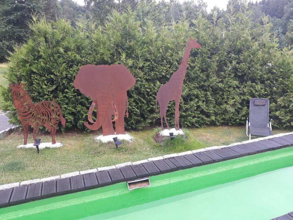 Fotografie z fotogalerie ubytování Haus Tsavo v destinaci Wald-Michelbach