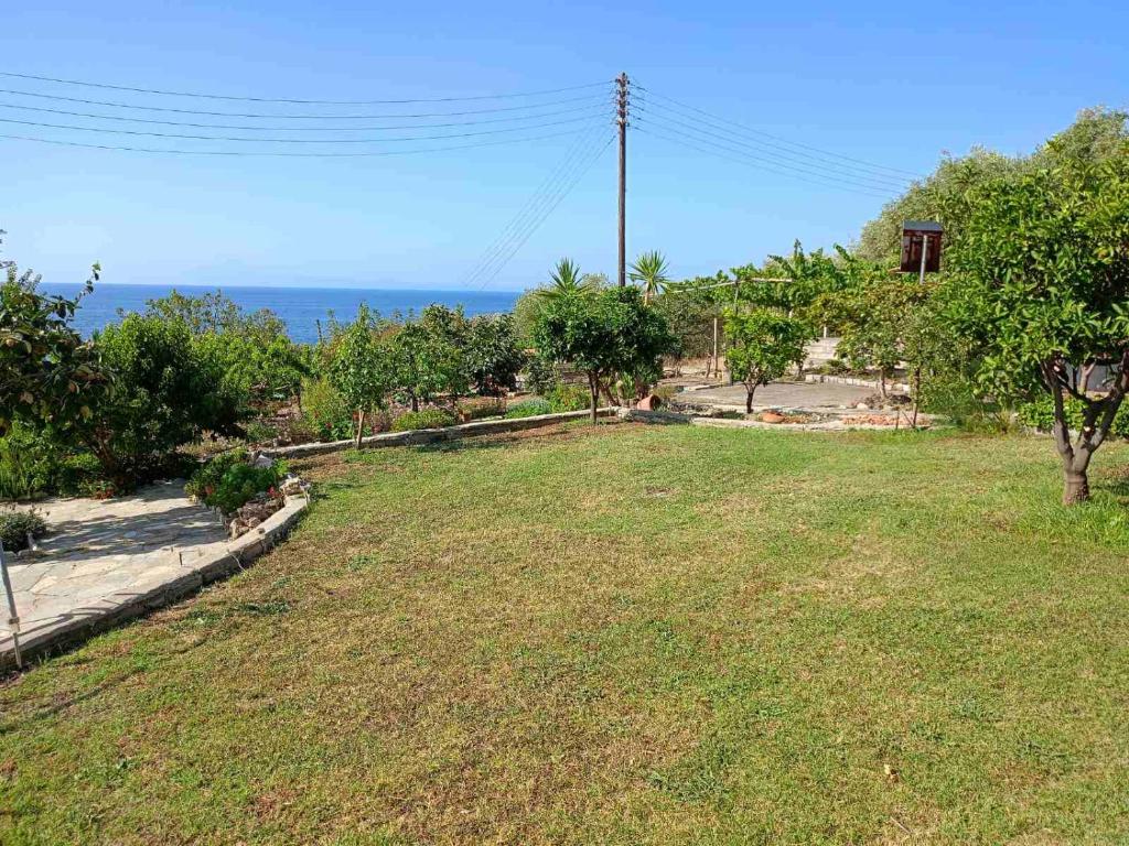 a field of grass with the ocean in the background at Paradise in Loutrá Elevtherón