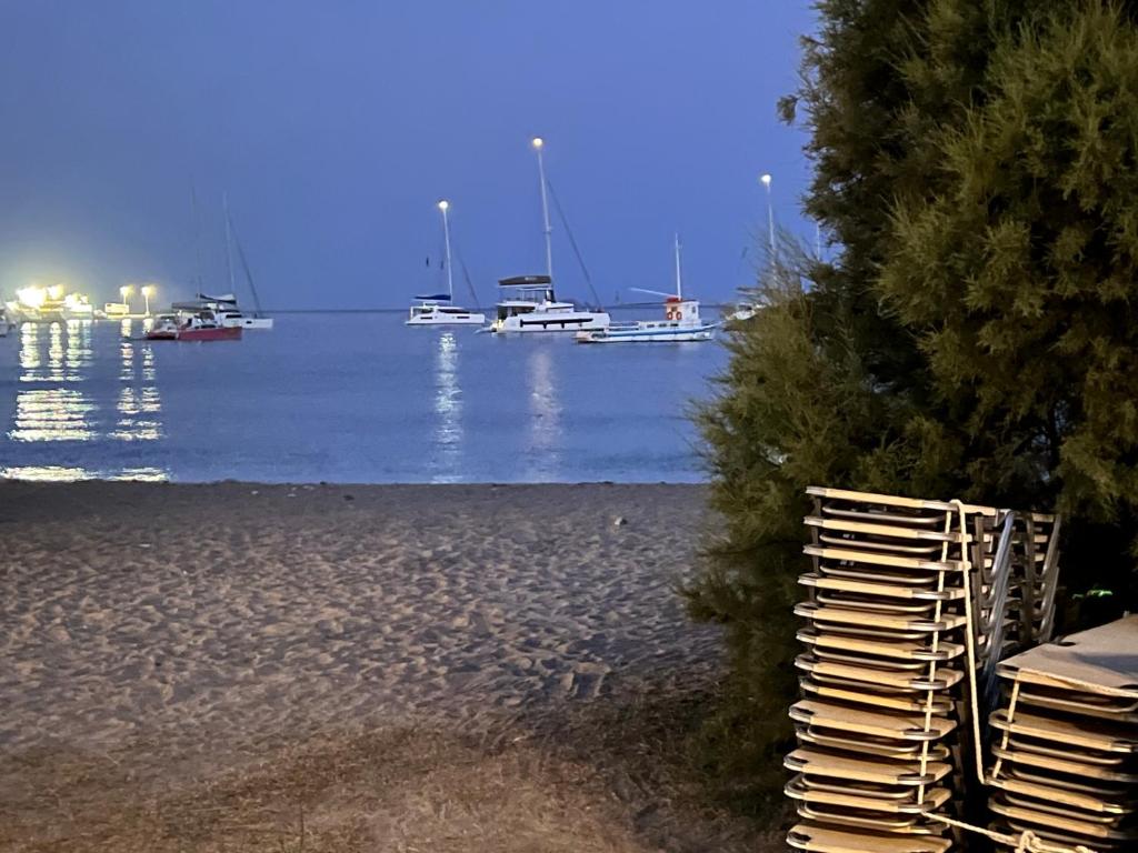 Φυσικό τοπίο κοντά σε αυτό το διαμέρισμα