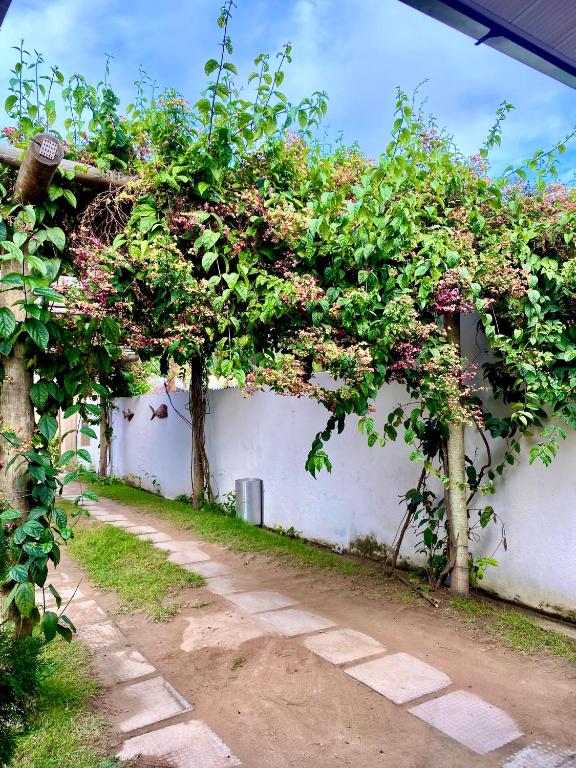Um jardim em Pousada Paraíso dos Milagres