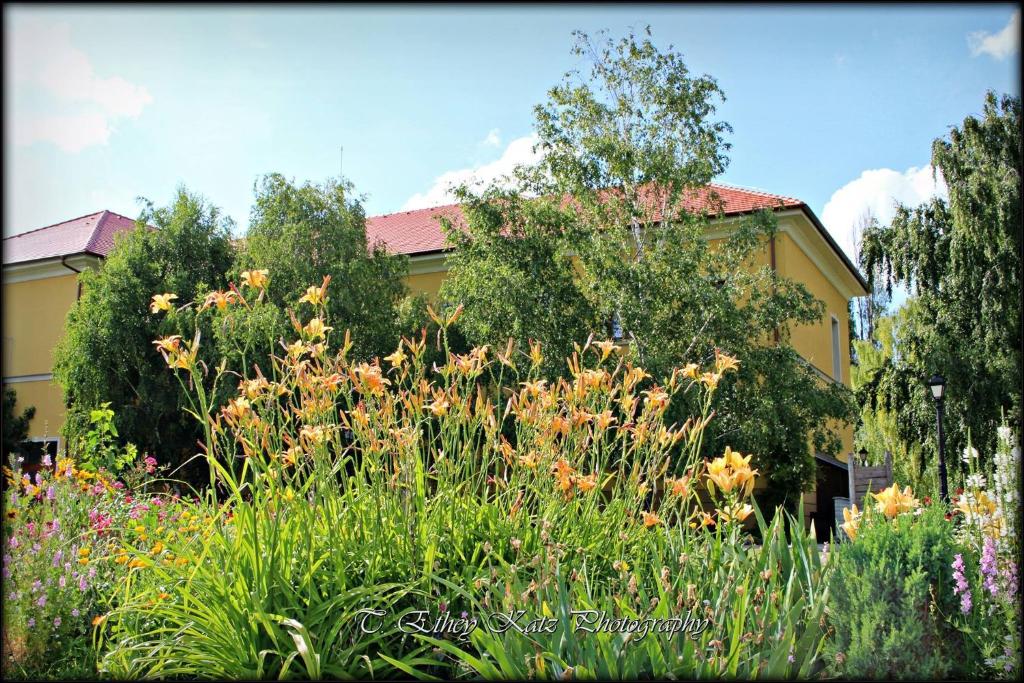 Zahrada ubytování Hotel *** Plauter Kúria