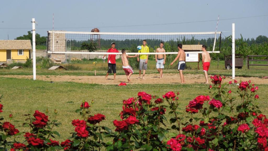 Hosté ubytování Hotel *** Plauter Kúria