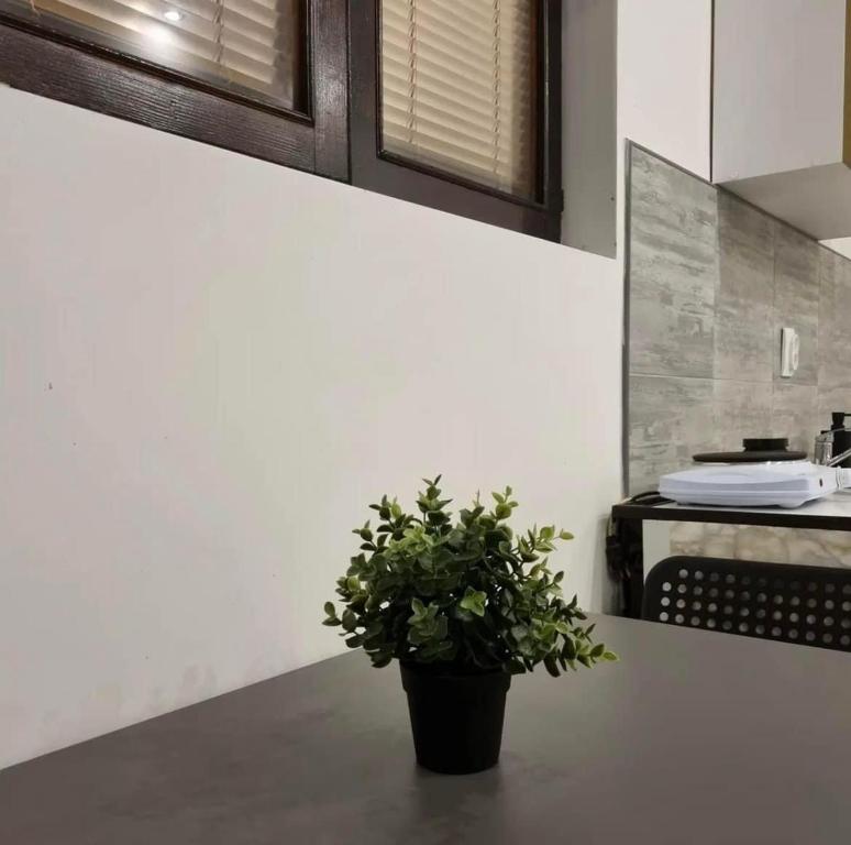 Fotografie z fotogalerie ubytování Studio Melem 3 v destinaci Soko Banja