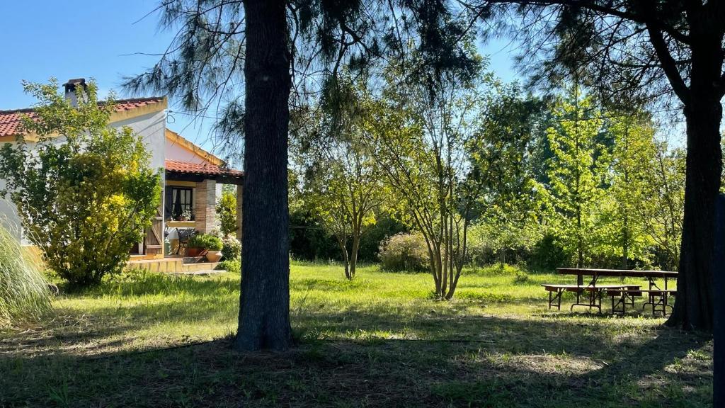 uma casa com uma mesa de piquenique num parque em Quinta dos Trevos - Artes e Of�cios em Ladoeiro
