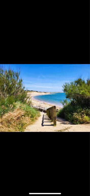 - une plage avec un banc sur le sable et l'océan dans l'établissement Appartement T1 bis proche plage, à Bretignolles-sur-Mer