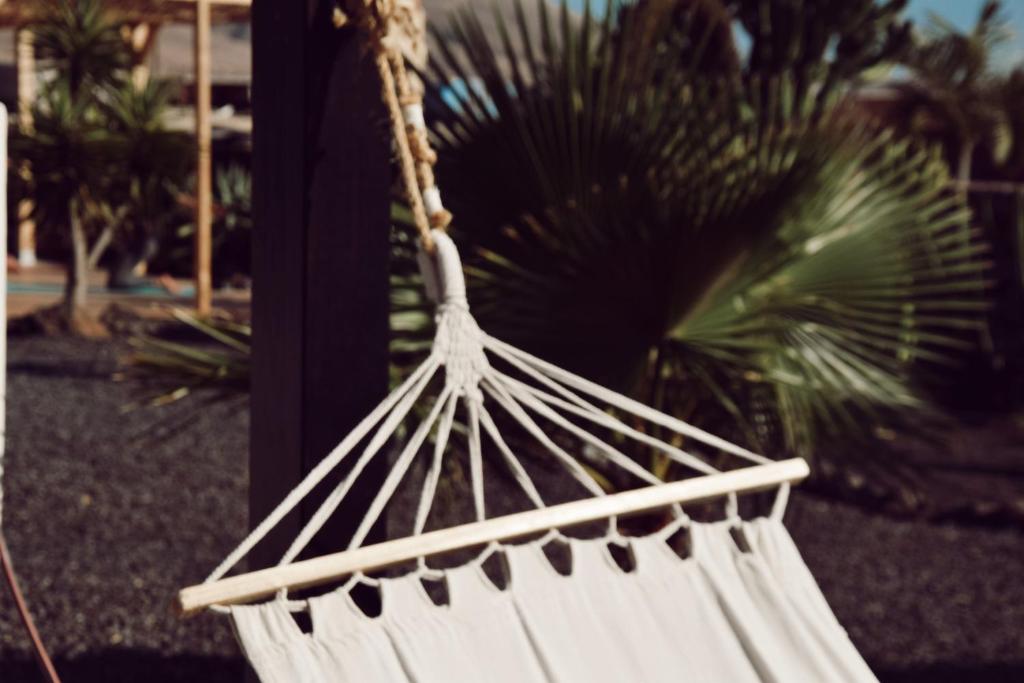 Fotografie z fotogalerie ubytování Surf & Yoga Retreats Fuerteventura v destinaci Roque