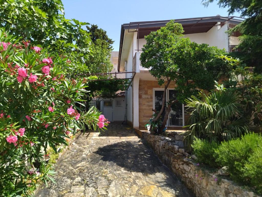 Zahrada ubytování Mini House Mara