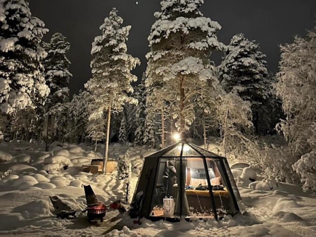 Aurora Igloo with Private Hot Tub by Invisible Forest Lodge v zimě