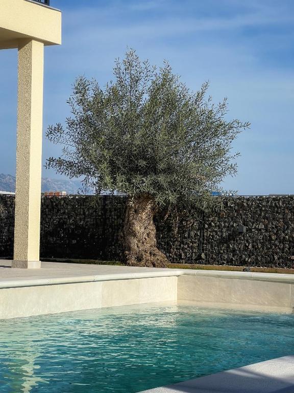 Bazén v ubytování BRAND NEW! Villa Adriatic Bay1 with a private pool nebo v jeho okolí