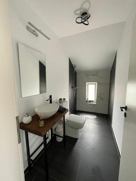 Fotografie z fotogalerie ubytování BIA Twin House v destinaci Arad