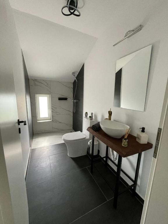 Fotografie z fotogalerie ubytování BIA Twin House v destinaci Arad