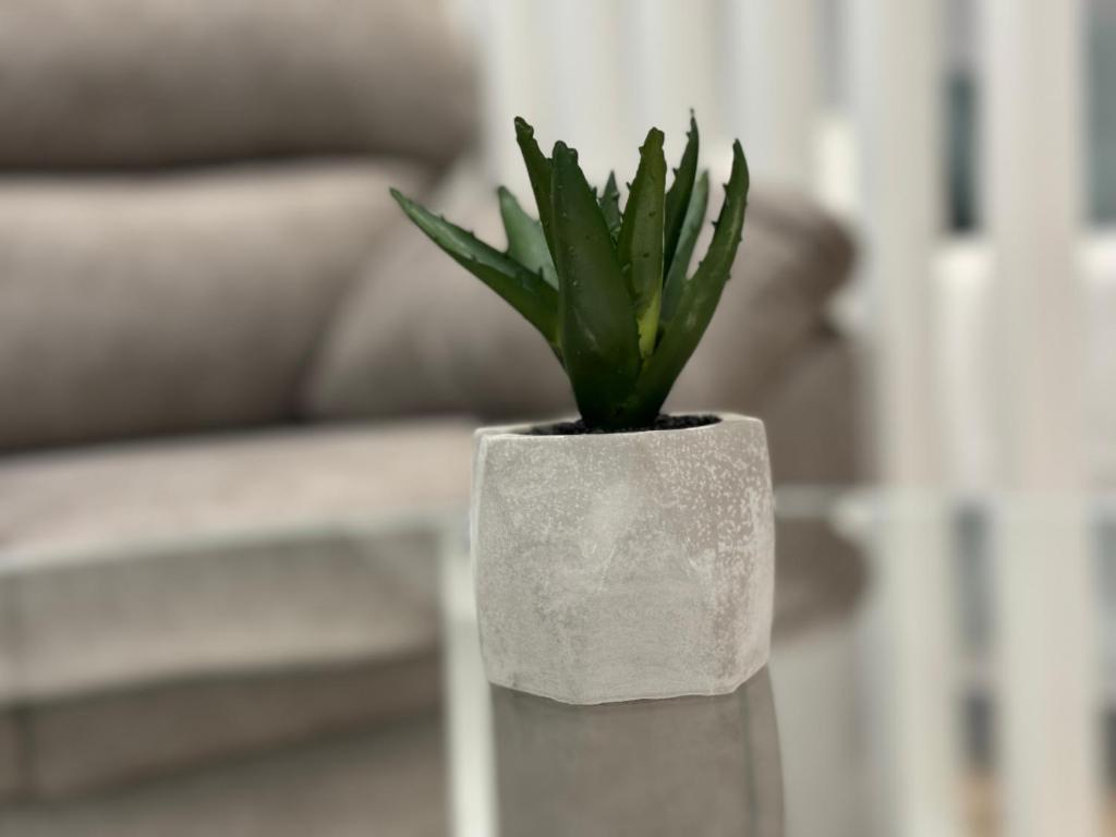 Apartamentos Mk77 Leon Se7ven - 12