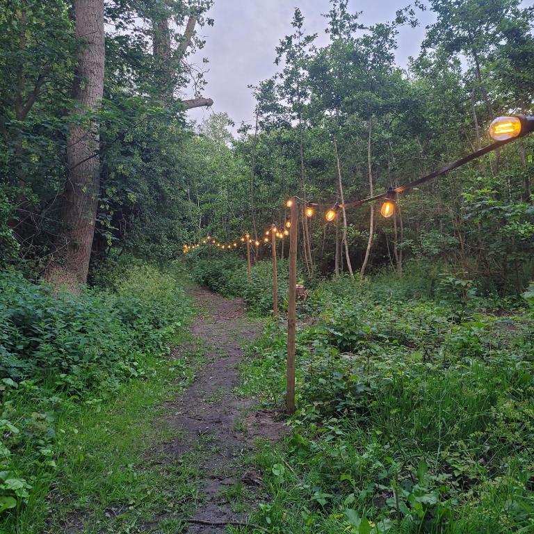 Zahrada ubytování Ecolodges De Dreef Guesthouse
