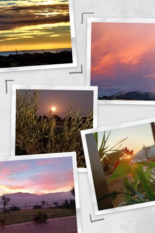 Foto dalla galleria di Il Faggio 17 B&B ad Artena