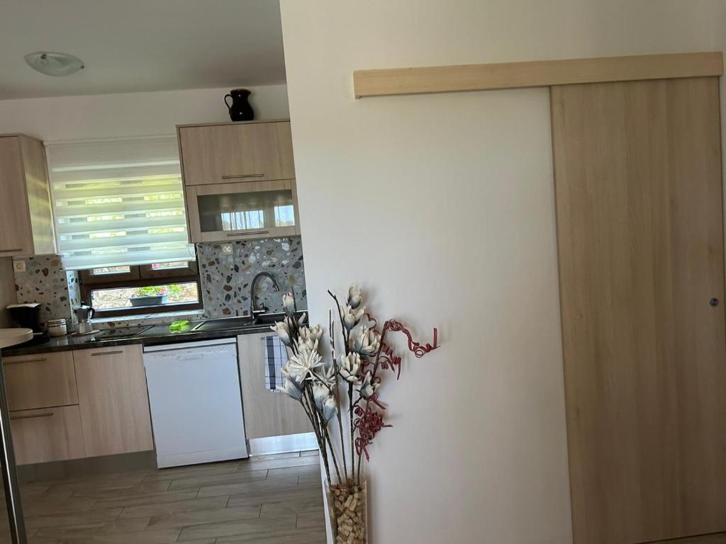Kuchyň nebo kuchyňský kout v ubytování Apartments Tartuga