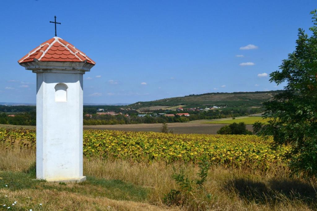 Příroda nedaleko aparthotelu