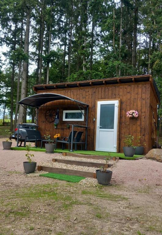 une petite cabine avec une porte blanche dans une forêt dans l'établissement Les Pichies, Logement insolite, Tiny House de Julia, à Saint-Léger-sur-Vouzance