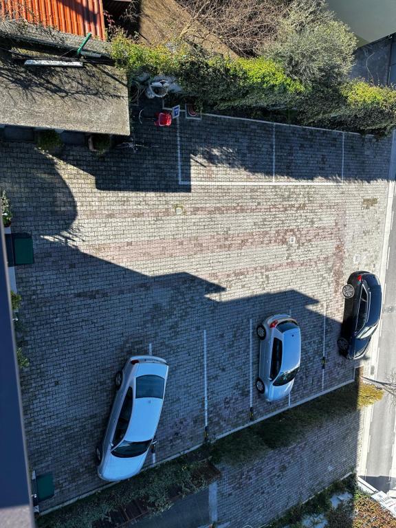 Fotografie z fotogalerie ubytování St Pauli v destinaci Shkodër