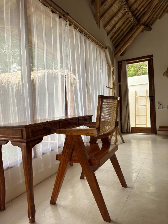 Tipsea Turtle Gili Air - 17