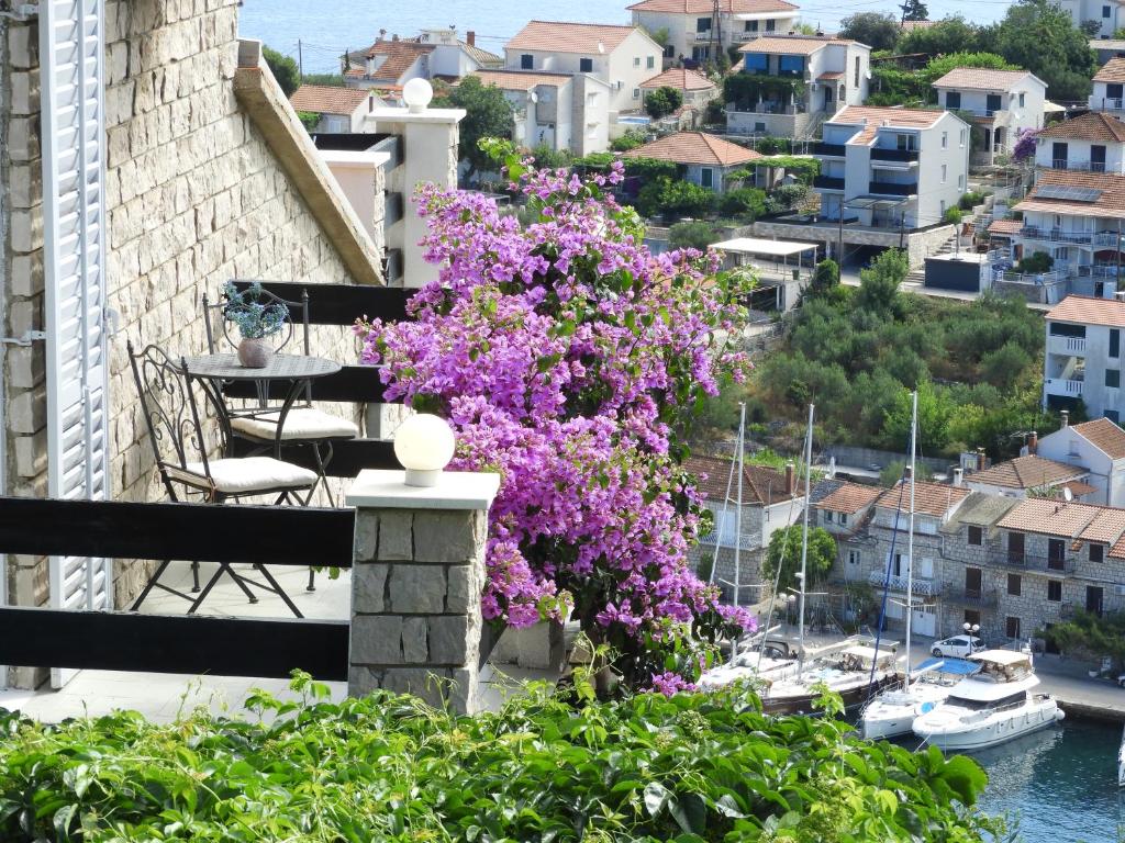 Priroda u blizini apartmana