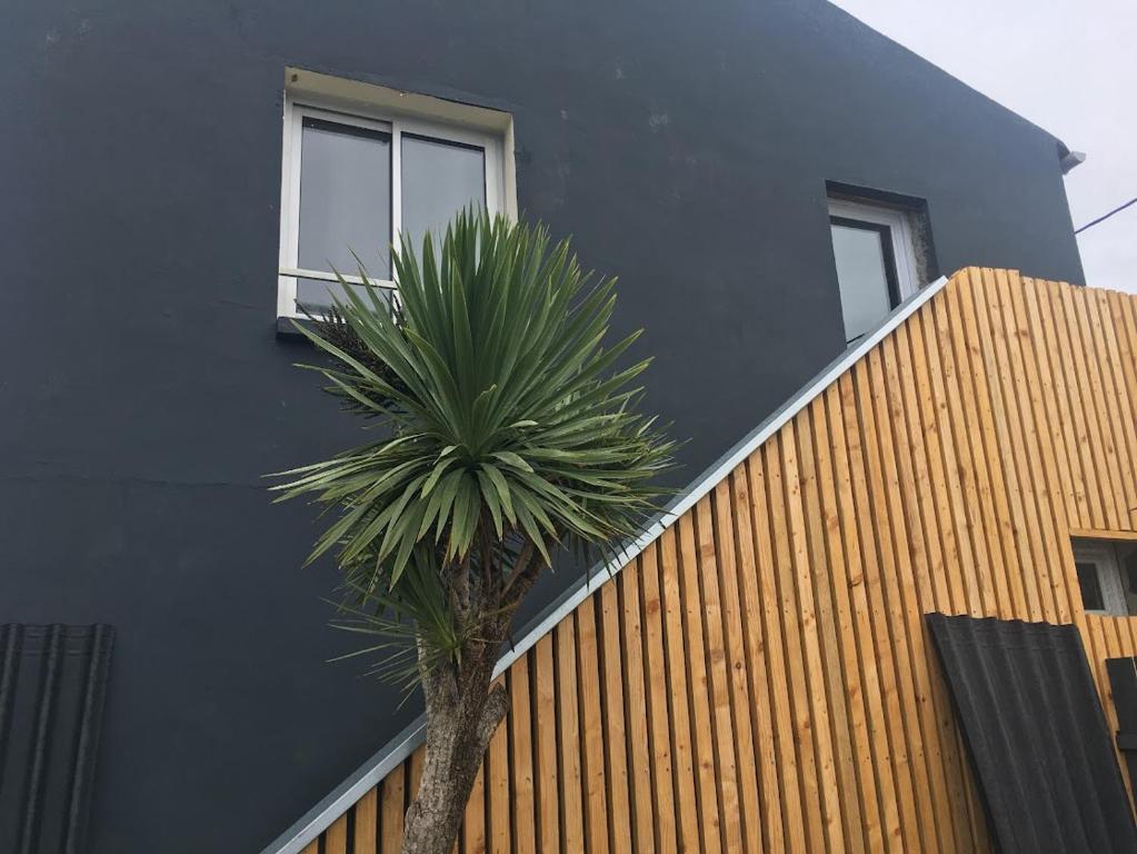 un palmier devant un bâtiment noir dans l'établissement Appartement coup de cœur, à Saint-Michel-Chef-Chef