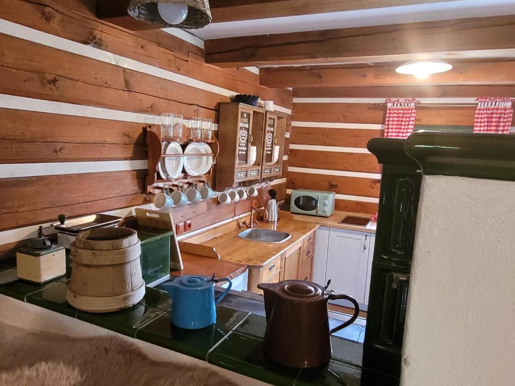 Kuchyň nebo kuchyňský kout v ubytování Residence Roubenka Český ráj