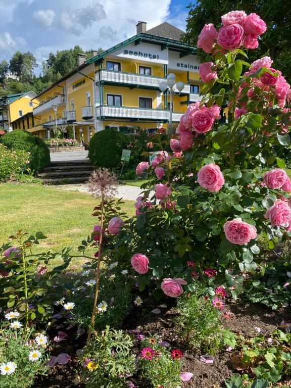 Zahrada ubytování Seehotel Steiner