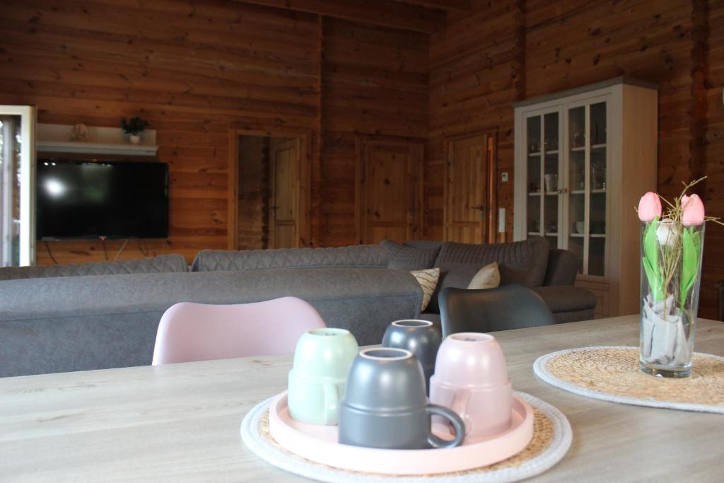 TV a/nebo společenská místnost v ubytování Ferienhaus Harmonie, Sauna,Seeblick, familienfreundlich