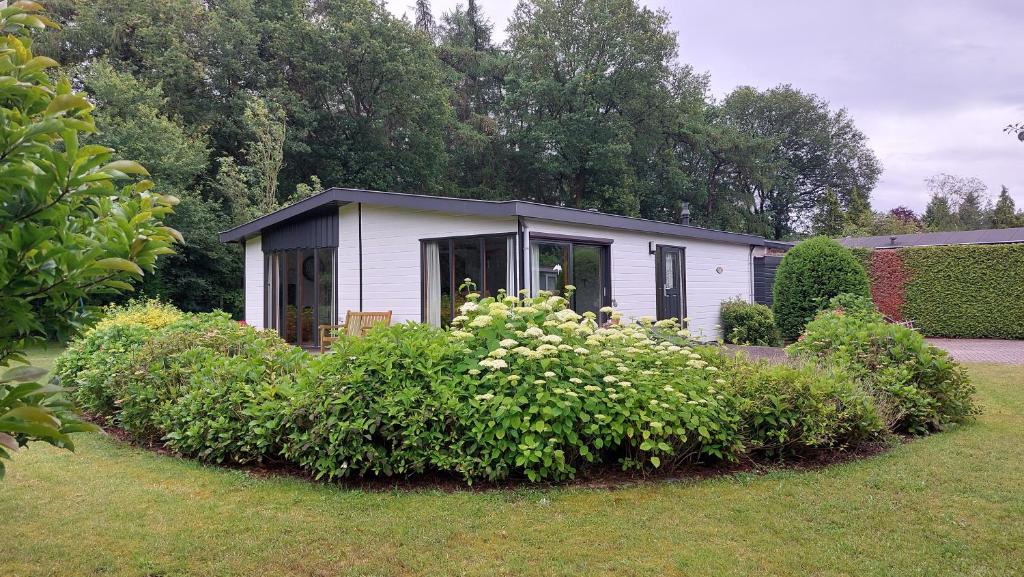 a small white house in a yard with bushes at Vakantie op de Veluwe in Lunteren