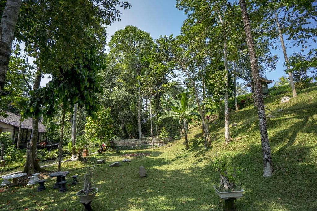 Zahrada ubytování Ubud Sari Health Resort