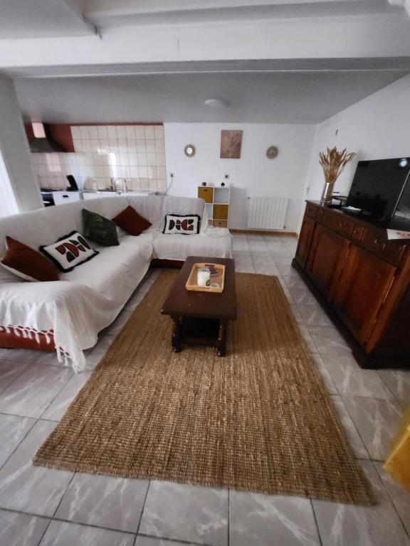 Et tv og/eller underholdning på DOMAINE DE POULHARIES -Merlot