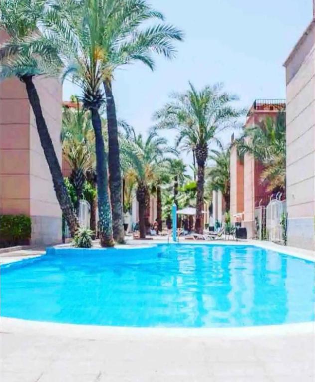 Riad butterfly Marrakech — photo 5