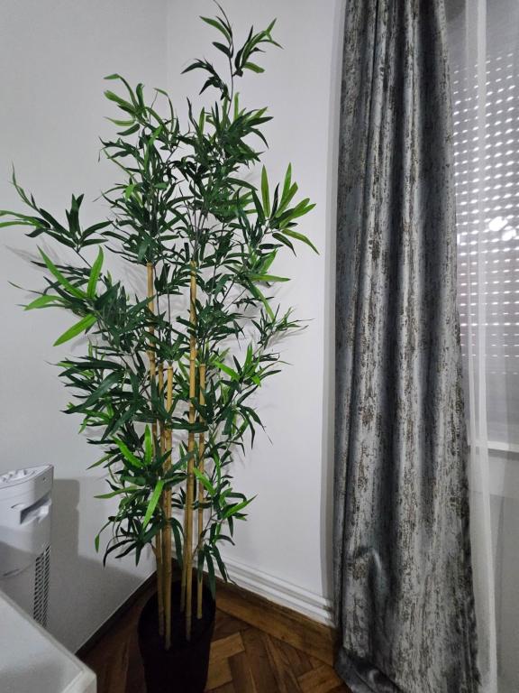 Casa Raduly - Resim 11