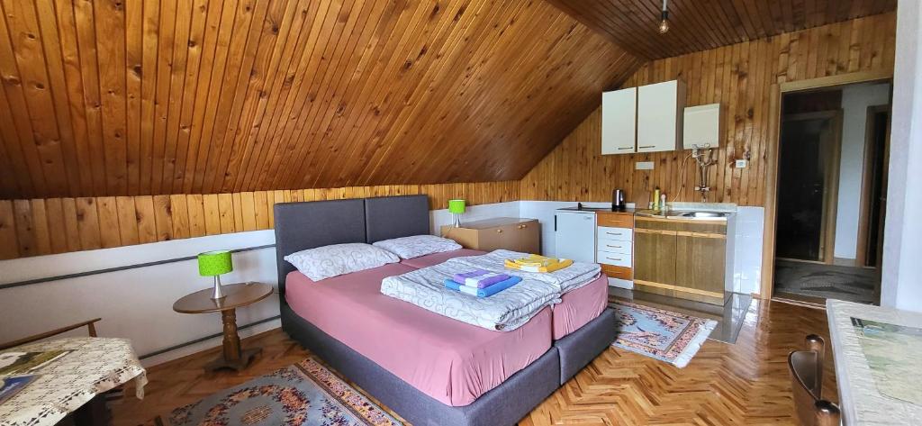 Kuchyň nebo kuchyňský kout v ubytování Accommodation Konak