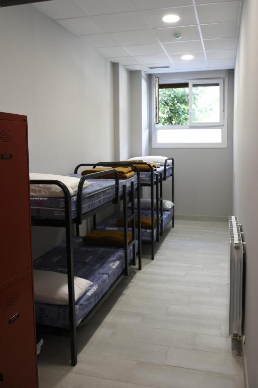 Albergue Bide-Ona - Bunk Bed In Mixed Dormitory Room