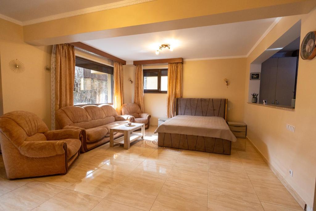 a living room with a bed and a couch at Walter Home Bușteni with Private Terrace in Buşteni