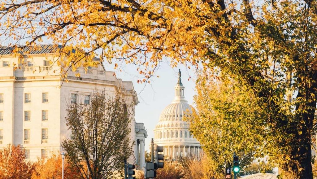an image of the capitol building with the dome at Vibrant 2-BR Luxe Flat Adjacent Eastern Market Walk to METRO Barracks Row Capitol Hill in Washington, D.C.