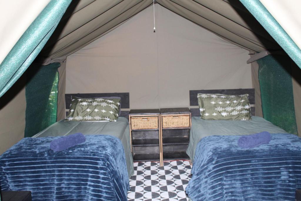 The Wild - Glamping in Wilderness - Image 16